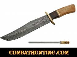 Damascus Steel Bowie Hunting Knife 14.5" With Olive Wood Handle 