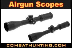 Airgun Scopes 22 Rifle Scopes